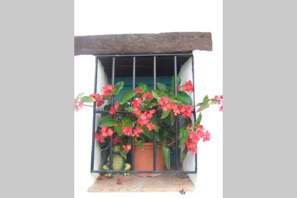 Casa Rosa, Con Encanto Y Piscina Climatizada Frigiliana Exterior photo